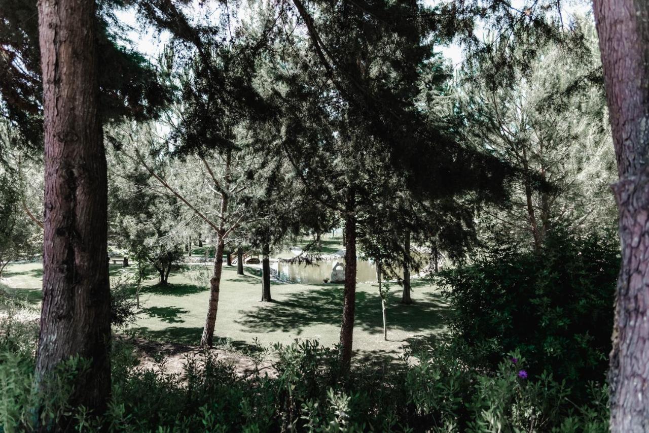 Quinta Do Cerrado Setubalゲストハウス エクステリア 写真